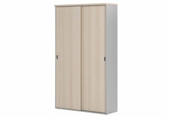 Шкаф-купе Flash FLS402.L