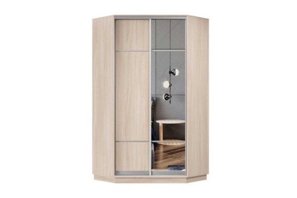 Шкаф-купе 2-дверный Практик 110х220х110 см, ясень шимо светлый