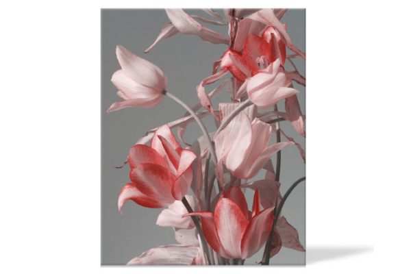 Канвас Idea 40х50 см